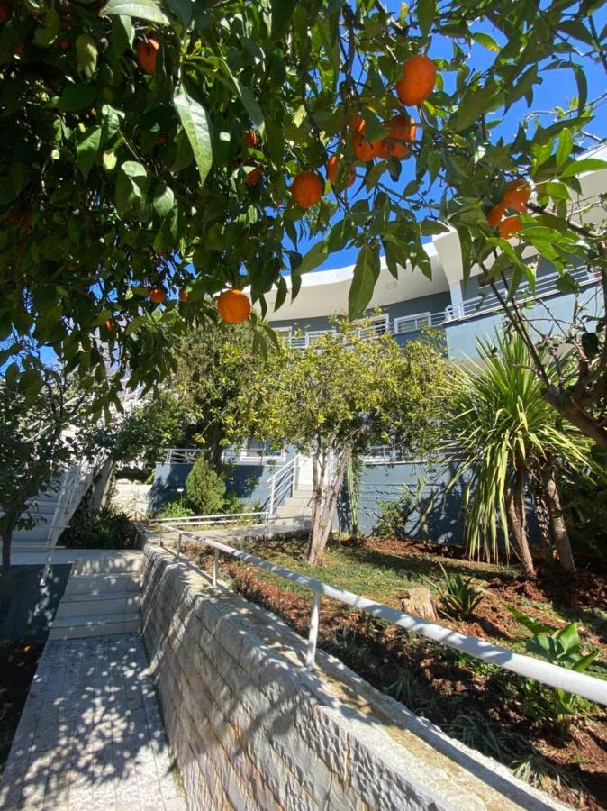 Nonna'S Boutique Hotel Dhërmi Εξωτερικό φωτογραφία